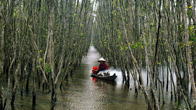 Discover the Wildlife of U Minh Forest – Rubicon Tours